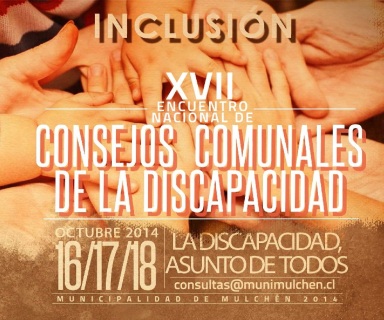 Afiche XVII Encuentro Nacional de Consejos Comunales de Discapacidad