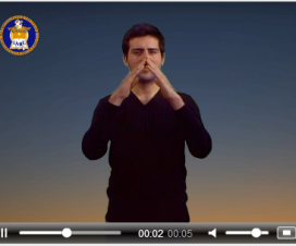 Captura de pantalla video del Diccionario Bilingüe Lengua de Señas Chilena – Español