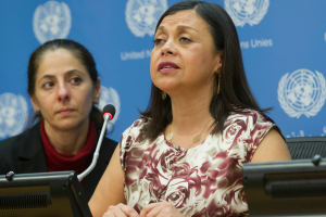 María Soledad Cisternas Reyes - Fuente: Naciones Unidas