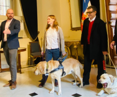 Ministro Jackson, Florencia Herrera junto a Otto, Gustavo Serrano junto a Loki y Director Nacional de Senadis al interior de un salón del Palacio de La Moneda.