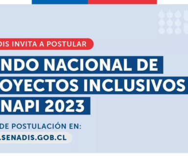 Sobre fondo celeste dice Senadis invita a postular Fondo Nacional de Proyectos Inclusivos Fonapi 2023 Bases de postulación www.senadis.gob.cl