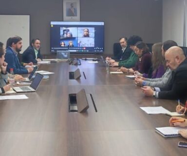 Fotografía de personas en una sala de reuniones sentadas al rededor de una mesa con una pantalla en el fondo. Fuente Senadis.